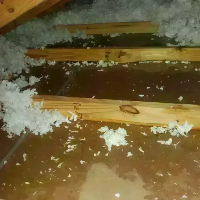 Attic Water Damage in Crockett, TX