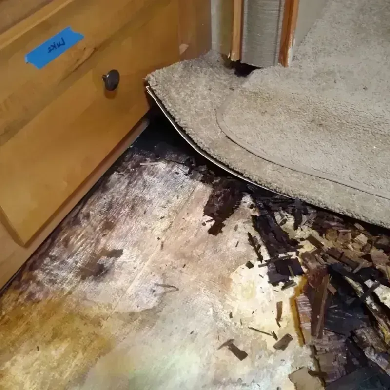 Wood Floor Water Damage in Crockett, TX